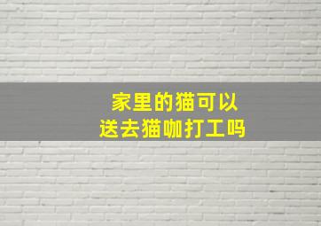 家里的猫可以送去猫咖打工吗