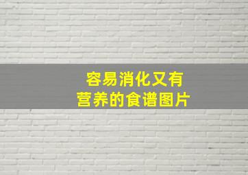 容易消化又有营养的食谱图片