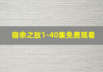 宿命之敌1-40集免费观看