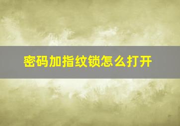 密码加指纹锁怎么打开