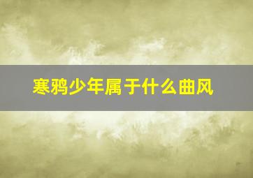 寒鸦少年属于什么曲风