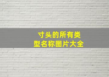 寸头的所有类型名称图片大全