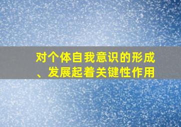 对个体自我意识的形成、发展起着关键性作用