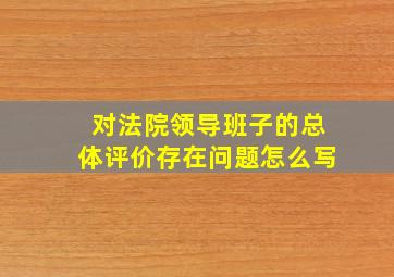 对法院领导班子的总体评价存在问题怎么写