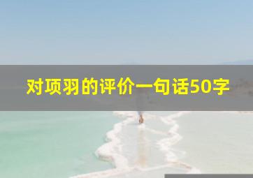 对项羽的评价一句话50字