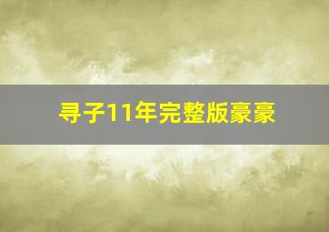 寻子11年完整版豪豪