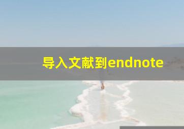 导入文献到endnote