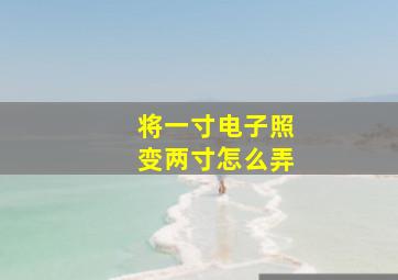 将一寸电子照变两寸怎么弄