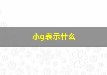 小g表示什么