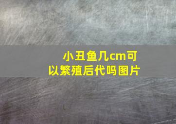 小丑鱼几cm可以繁殖后代吗图片