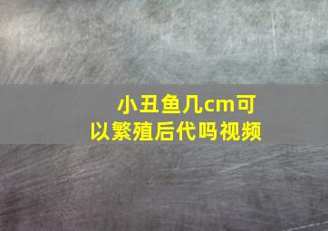 小丑鱼几cm可以繁殖后代吗视频