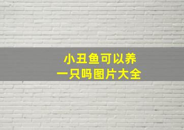 小丑鱼可以养一只吗图片大全