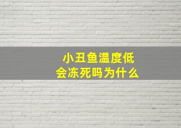 小丑鱼温度低会冻死吗为什么