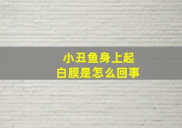 小丑鱼身上起白膜是怎么回事