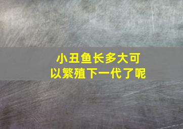 小丑鱼长多大可以繁殖下一代了呢