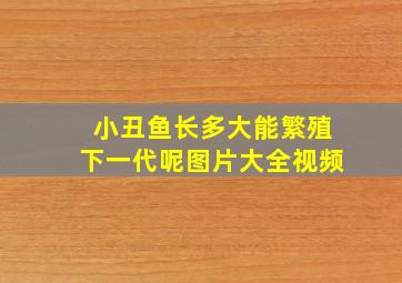 小丑鱼长多大能繁殖下一代呢图片大全视频