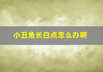 小丑鱼长白点怎么办啊