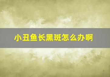 小丑鱼长黑斑怎么办啊