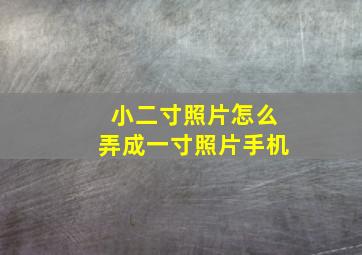 小二寸照片怎么弄成一寸照片手机