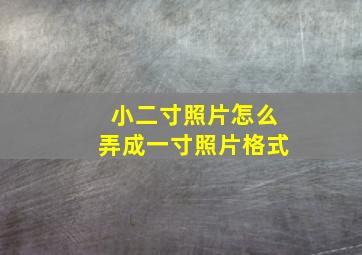 小二寸照片怎么弄成一寸照片格式