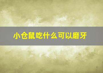 小仓鼠吃什么可以磨牙