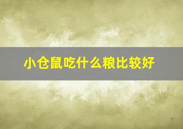 小仓鼠吃什么粮比较好