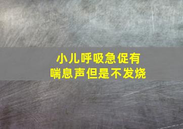 小儿呼吸急促有喘息声但是不发烧