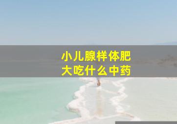 小儿腺样体肥大吃什么中药