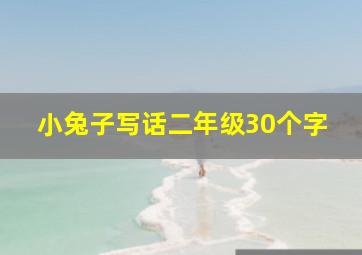 小兔子写话二年级30个字