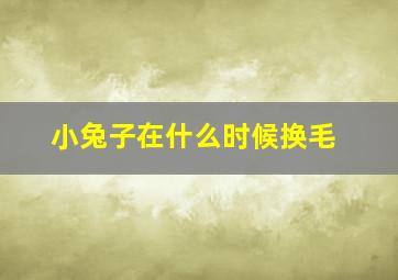 小兔子在什么时候换毛