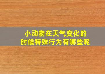 小动物在天气变化的时候特殊行为有哪些呢