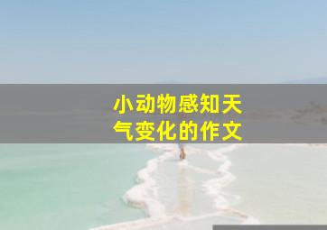 小动物感知天气变化的作文