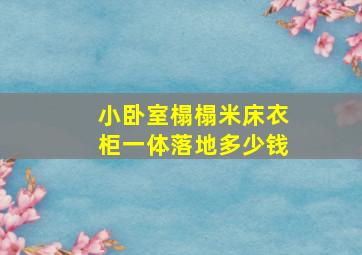 小卧室榻榻米床衣柜一体落地多少钱