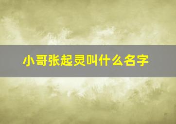 小哥张起灵叫什么名字