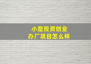 小型投资创业办厂项目怎么样