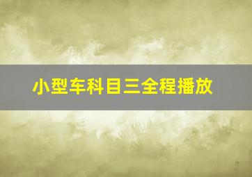 小型车科目三全程播放