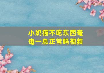 小奶猫不吃东西奄奄一息正常吗视频