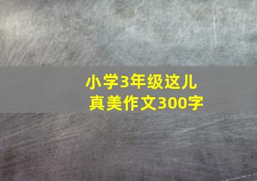 小学3年级这儿真美作文300字