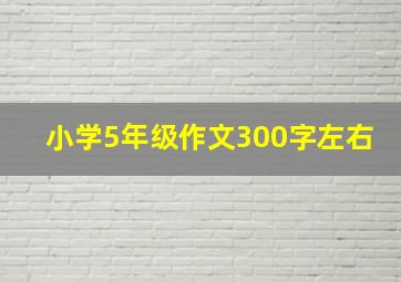 小学5年级作文300字左右