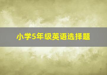 小学5年级英语选择题