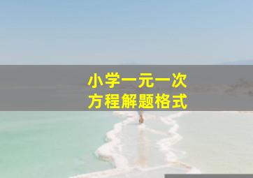 小学一元一次方程解题格式