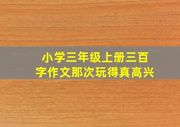 小学三年级上册三百字作文那次玩得真高兴