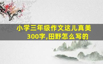 小学三年级作文这儿真美300字,田野怎么写的