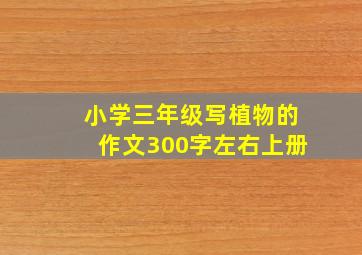 小学三年级写植物的作文300字左右上册