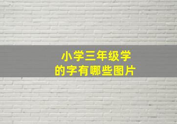 小学三年级学的字有哪些图片