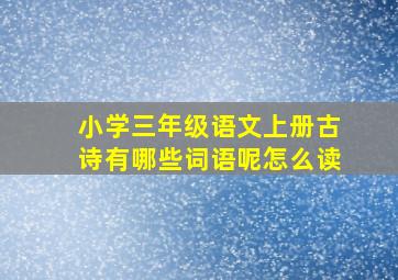 小学三年级语文上册古诗有哪些词语呢怎么读