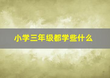 小学三年级都学些什么