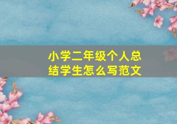 小学二年级个人总结学生怎么写范文