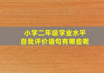 小学二年级学业水平自我评价语句有哪些呢