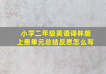 小学二年级英语译林版上册单元总结反思怎么写